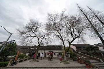 _DSC6150