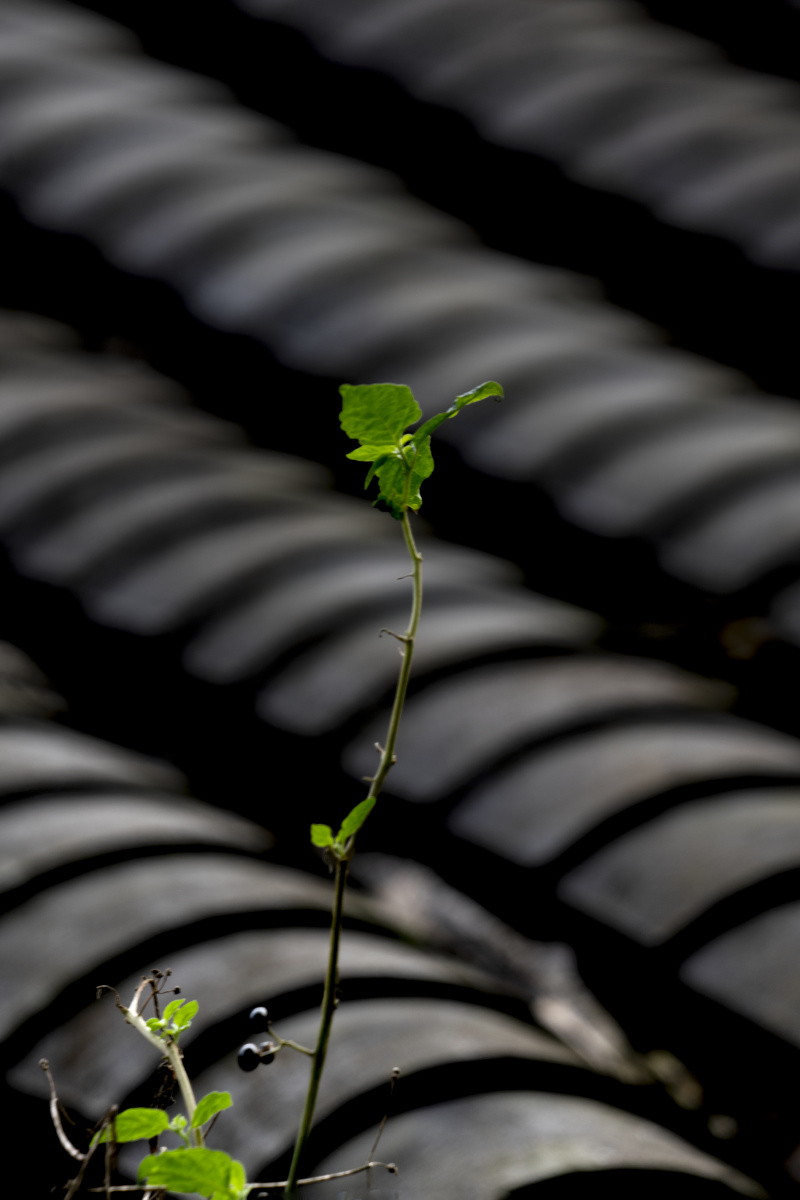 听风听雨听见你