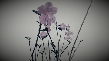 20160401_210412