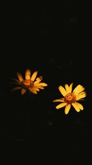 3434264A-ED9F-4098-AD2D-7722749EA7DB/L0/001
