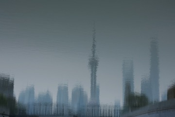 2307614