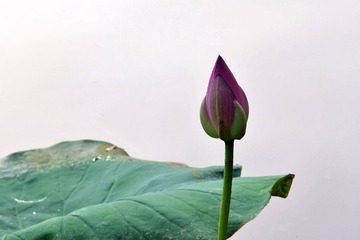 照片 033