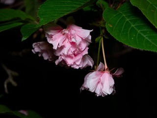 7A5D3782-513F-44B6-A9EC-286142979AF3/L0/001