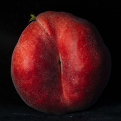 06927F2C-6B4B-4BFE-AE98-4EF61EA68B76/L0/001