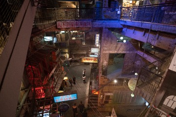_DSC0519