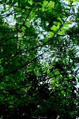 42FC14EA-913A-4F75-915D-B60E56E86D42/L0/001