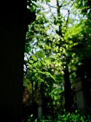 F2985CBF-A822-486A-B6B8-75981C8E1393/L0/001