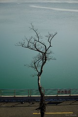 0D795777-EA68-4598-A79E-E492046B83DC/L0/001