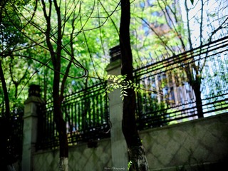 6BF91548-6AE7-4584-8FAD-0A76B513DB27/L0/001