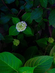 05652CFF-FBE3-41D2-B31E-DF692086330F/L0/001