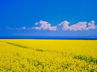 10E81F86-526A-4A9C-A9AB-3867A4AB3F0F/L0/001