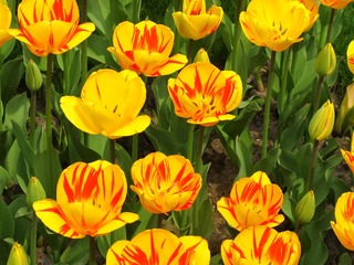 C860CA3E-746B-4A6F-BB38-C1B65EEAAF99/L0/001