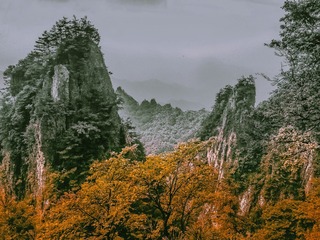 C5D65299-40B9-475F-AB3C-50336A38B5ED/L0/001