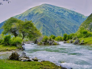 1AA40F8D-166D-4C39-A128-3DE19FDC0356/L0/001