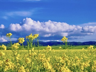 F9D0C74F-2849-4EBA-B8F8-4E9D9A08237E/L0/001
