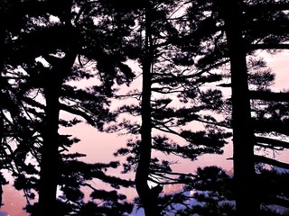0C969012-92F4-42C3-A2B3-AB42D7F9F236/L0/001