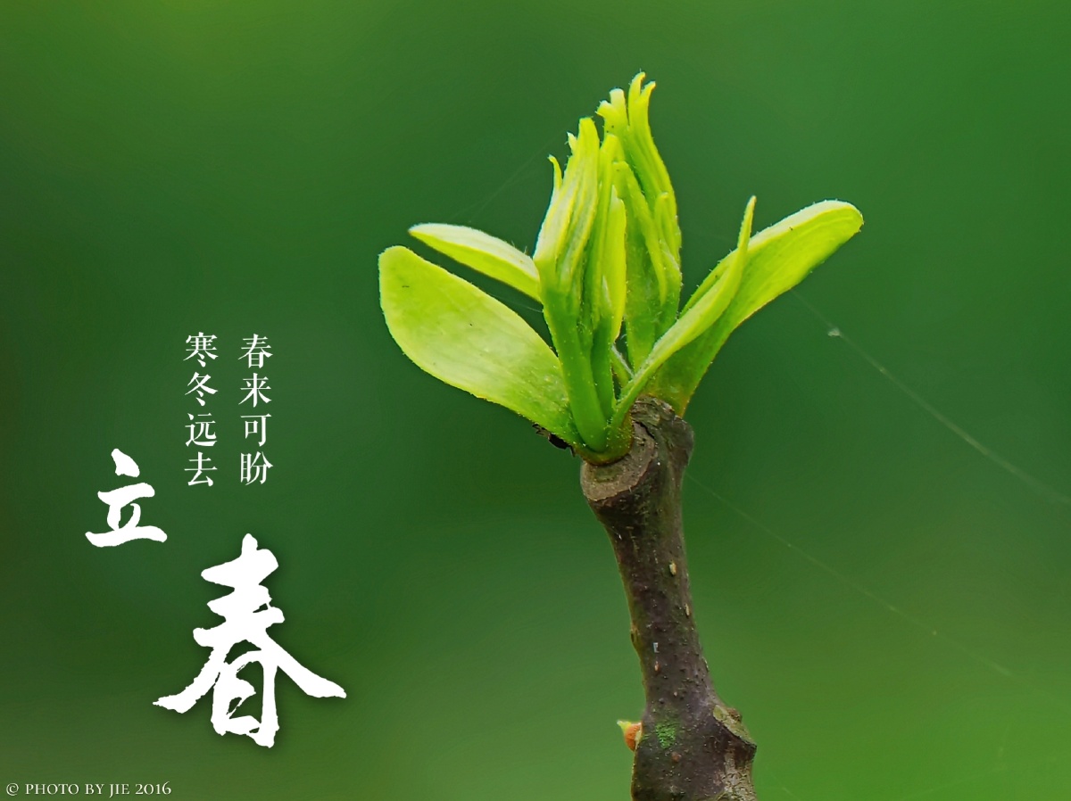 立春