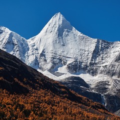 2729351
