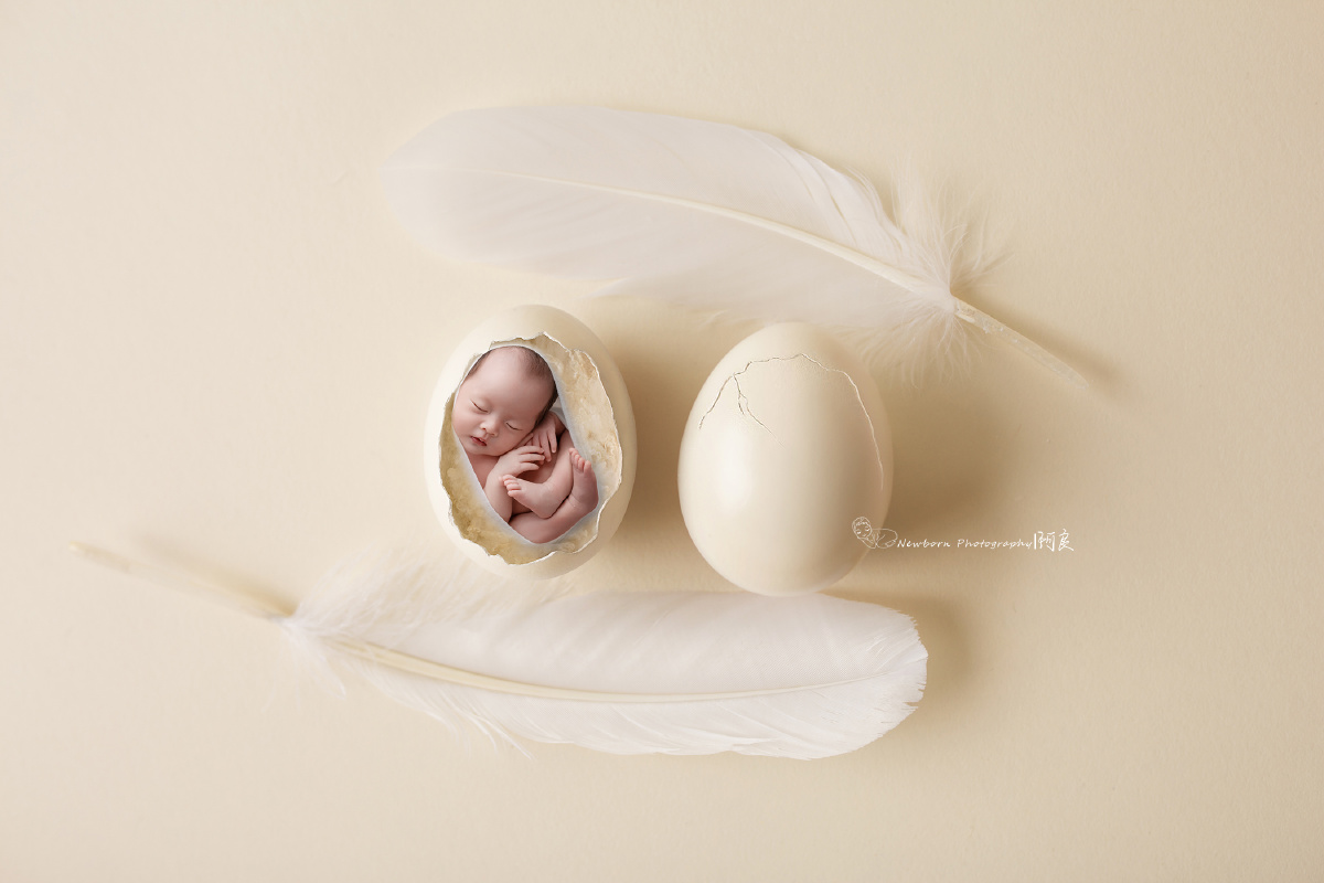 新生破壳啦早安呀77