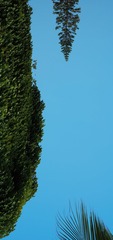 71C007E2-60FC-4DB5-AB6A-CC26E2D9D8A1/L0/001