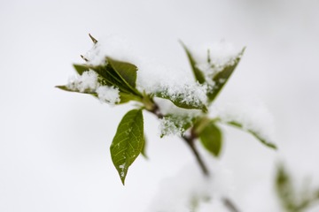 _DSC1042