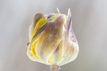 _DSC0528