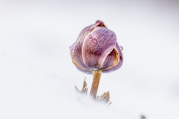 _DSC0477