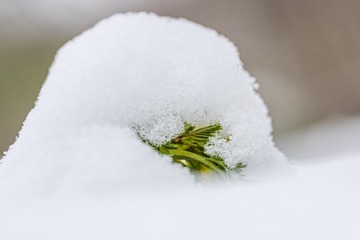 _DSC1226
