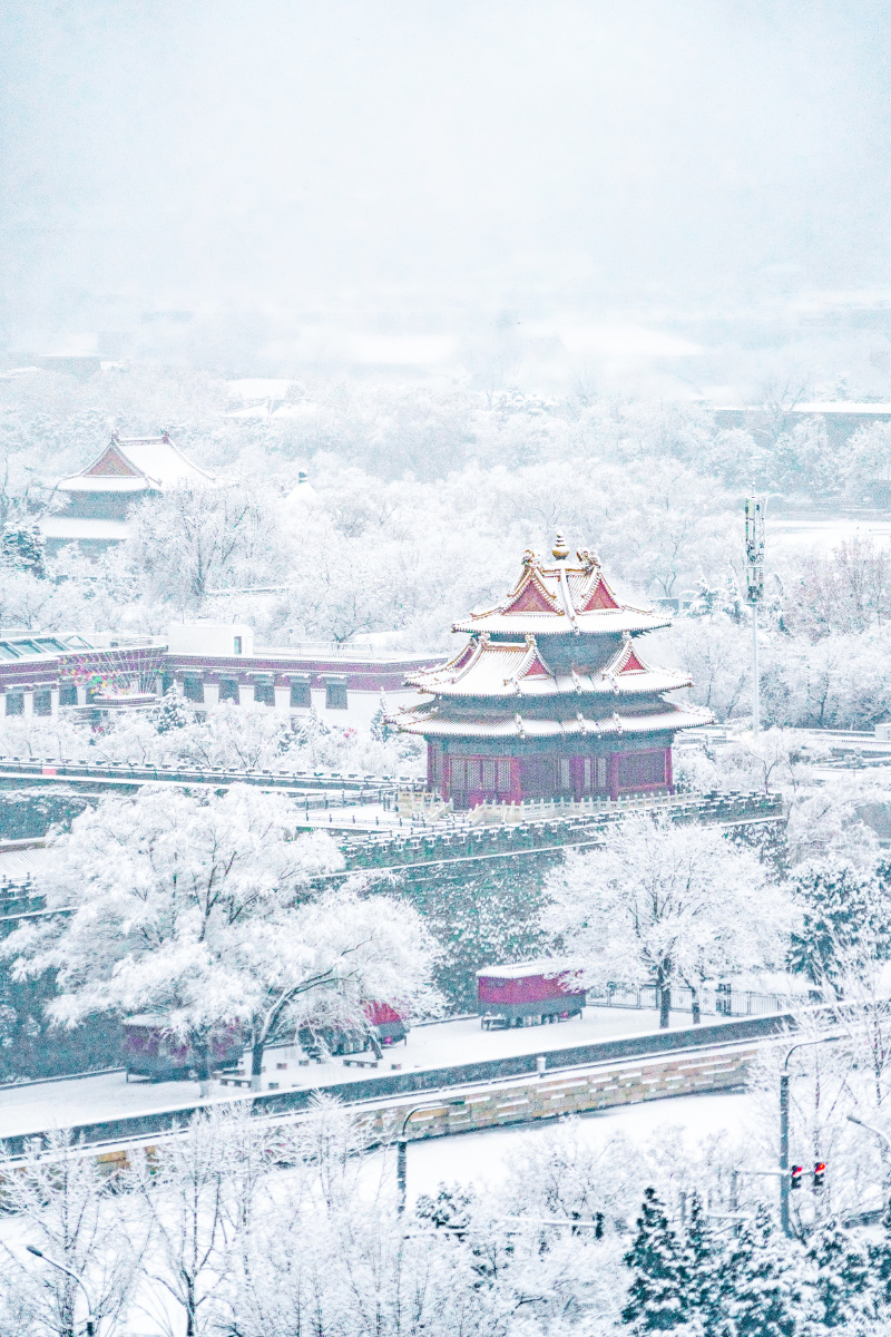 北京一下雪整个城市就变了一幅样子庄严肃穆的皇家古建筑上金黄色的