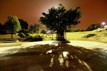 复件 IMG_7206