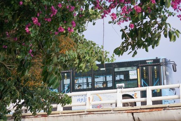 20250523-DSC00137