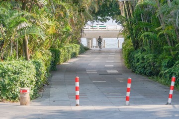 20250523-DSC00050