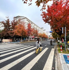 90DC19C5-434F-44F0-8120-486E9E3B0B6E/L0/001