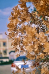DE03B1C6-BA37-4D00-B81C-36910284155F/L0/001