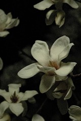 103072