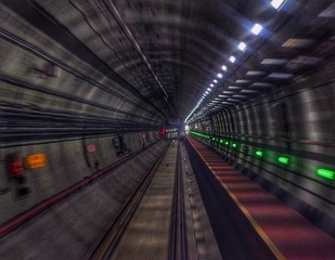 290446