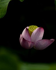 _DSC6285_