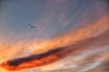 1241310