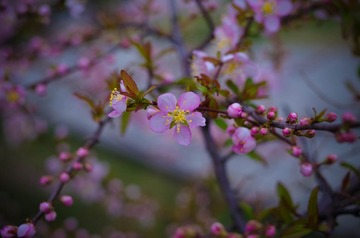 _IMG1448-1