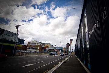 _DSC0113