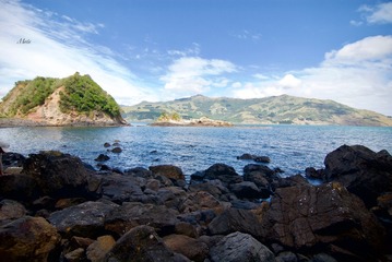 _DSC0809 (1)