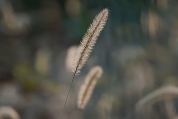 1090055