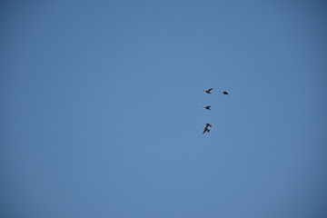 D86F37DC-1B14-45E1-B304-32E28BF3582B/L0/001