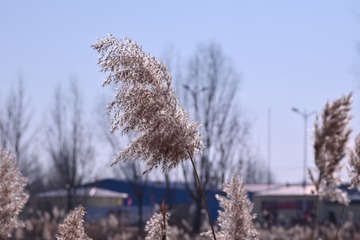 2EB64DDF-E855-440D-A98F-B6EBAFED89DC/L0/001