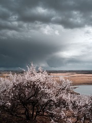 7183825