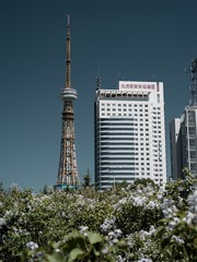7183779