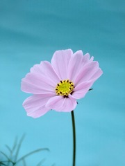 7FAA68D0-BA59-48CB-8E23-180DF2030C41/L0/001