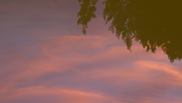 4FFF7F9B-0DD4-4CF2-A847-F4CEE58B6C72/L0/001