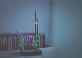 AB0C4157-6CB6-42FE-B511-81FFA2FFCF07/L0/001