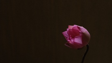 1F994701-B95D-43D6-BF56-3C630E9190B0/L0/001